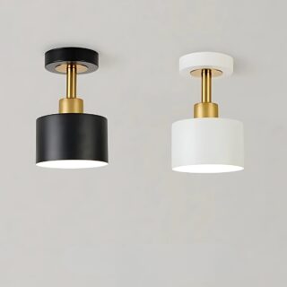 Plafonniers d'entrée minimalistes sur fond gris. Deux modèles identiques : un noir à gauche et un blanc à droite. Un socle rond, une tige dorée et un spot rond qui diffuse la lumière.