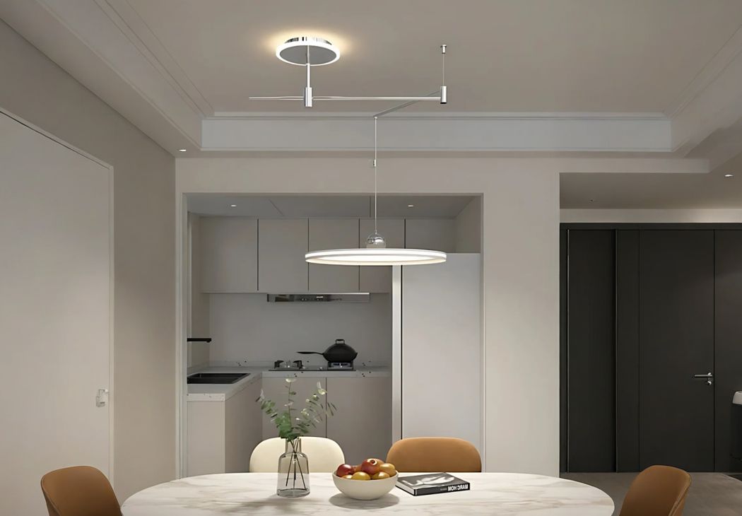 IMG_03_2025_plafonnier_déporté_au_design_élégant_9