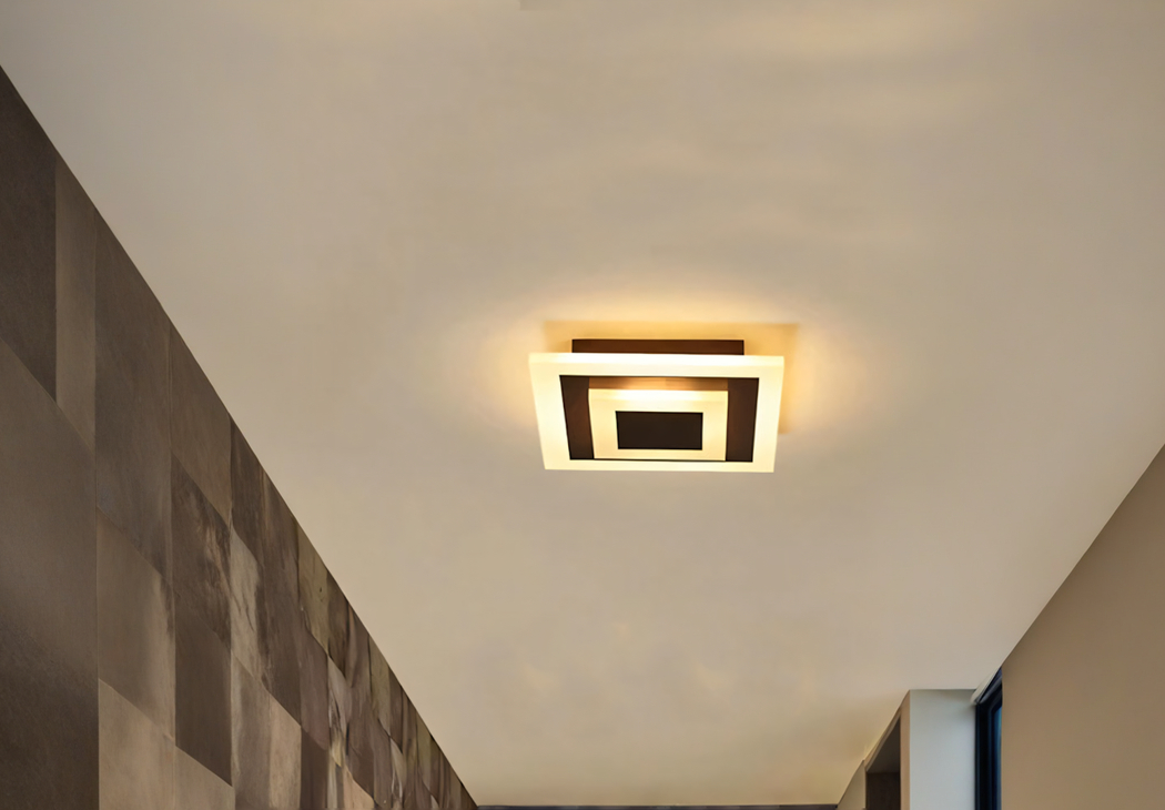 IMG_03_2025_plafonnier_wc_carre_moderne_44